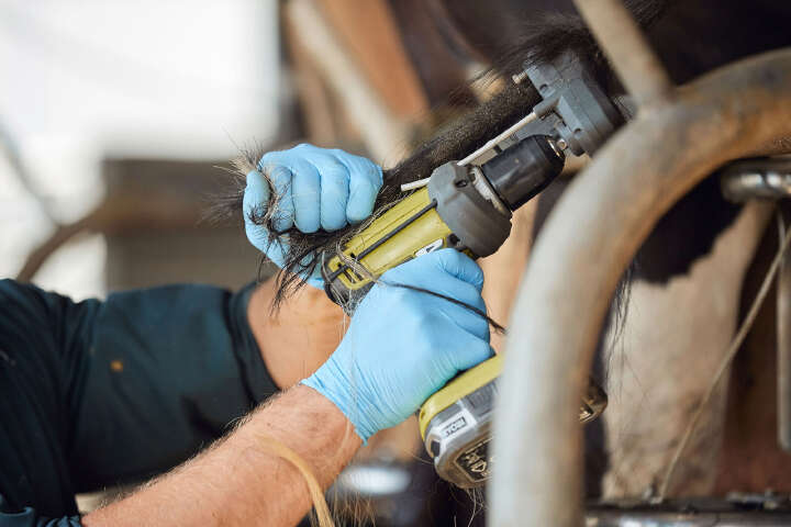 SHOOF Kuhschwanztrimmer TailWell Titanium